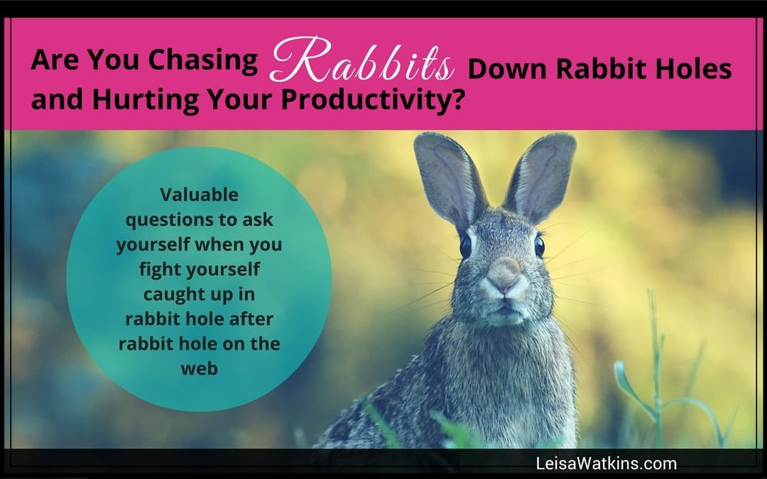 Hurting Personal Productivity by Chasing Rabbits Down Rabbit Holes